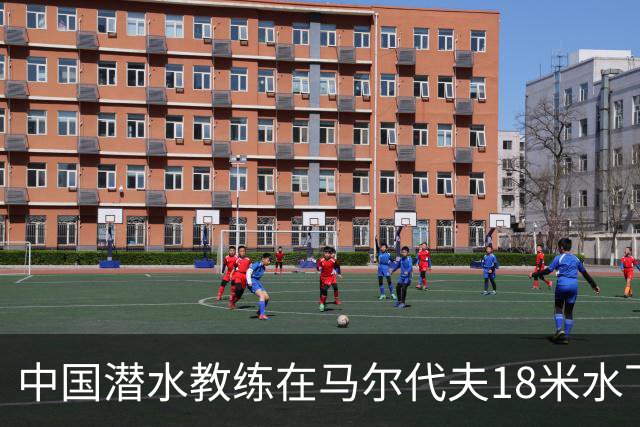 中国潜水教练在马尔代夫18米水下遭3名外籍潜水人员拉拽撕扯，涉事船宿方：已提交调查