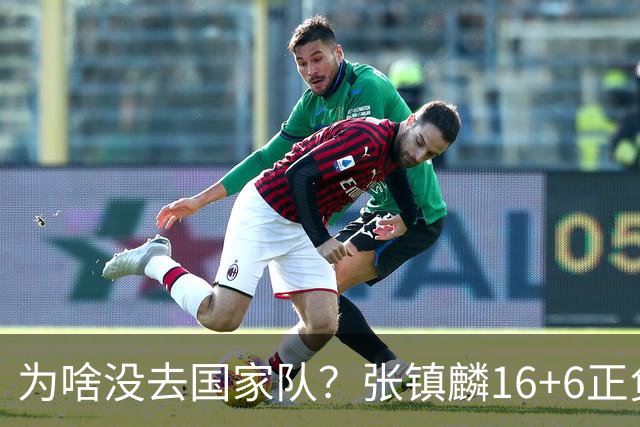 为啥没去国家队？张镇麟16+6正负值全场最高 隔扣深圳大外援点燃现场