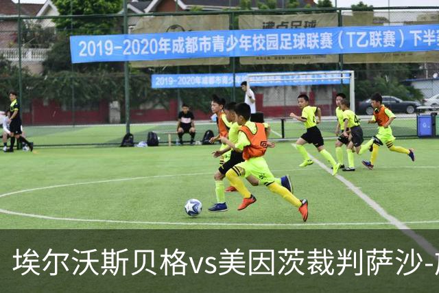 埃尔沃斯贝格vs美因茨裁判萨沙-施特格曼数据：近20场3红79黄7点