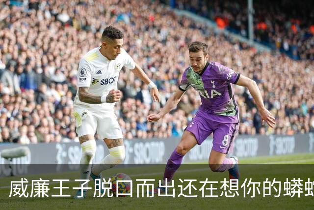 威廉王子脱口而出"还在想你的蟒蛇"，观众：他可是要当国王的人