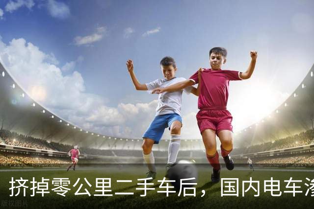 挤掉零公里二手车后，国内电车渗透率大幅下降