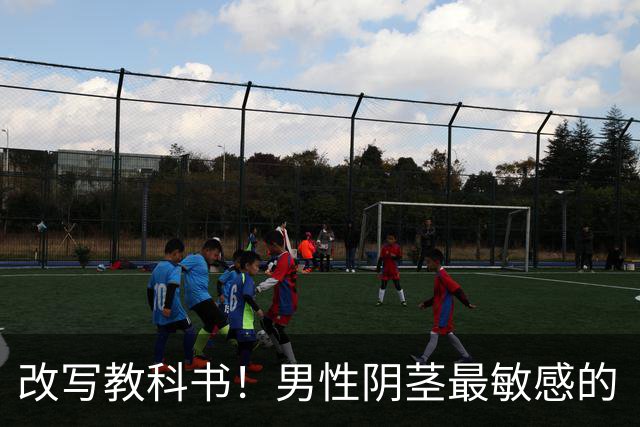 改写教科书！男性阴茎最敏感的“G点”首次被定位