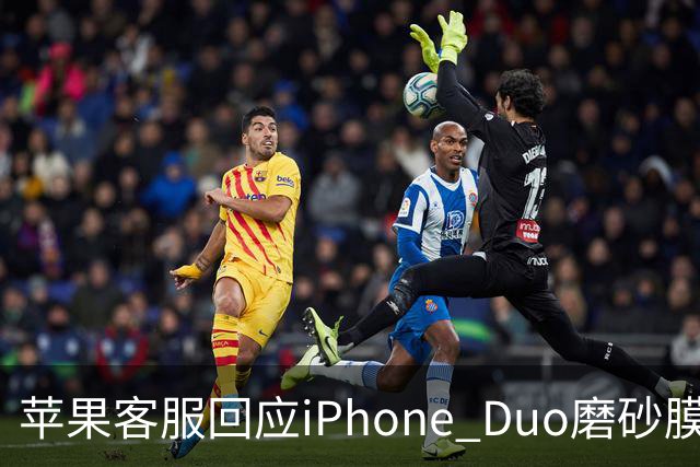 苹果客服回应iPhone Duo磨砂膜可撕：不建议！纳米纹理表层损坏维修要398元