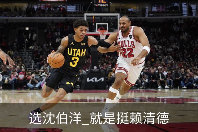 选沈伯洋 就是挺赖清德