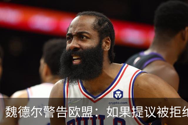 魏德尔警告欧盟：如果提议被拒绝，在上台后，德国将举行脱欧公投